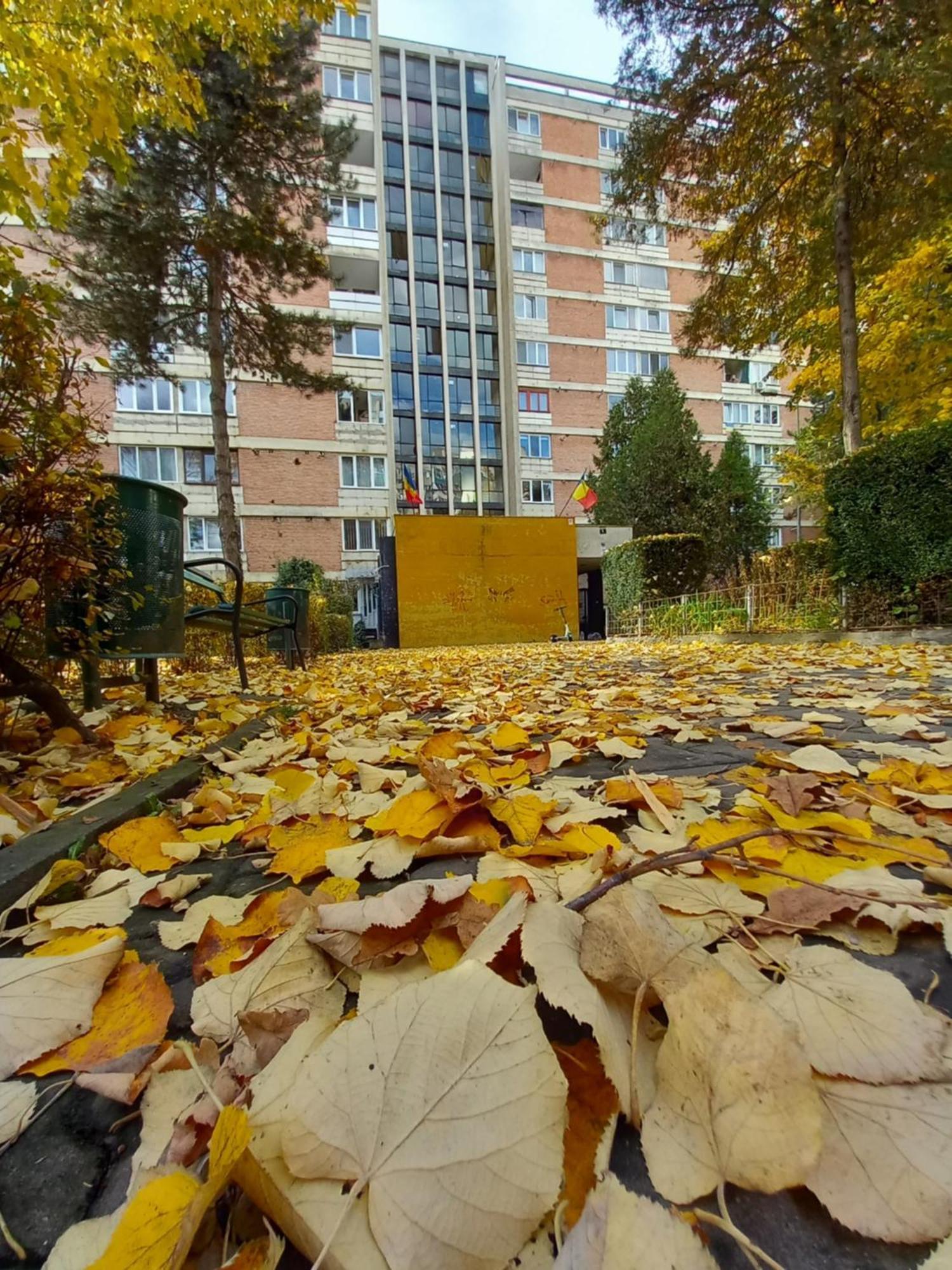 Apartament Dacia Târgu-Mureş Buitenkant foto