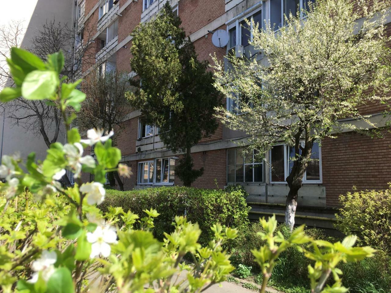 Apartament Dacia Târgu-Mureş Buitenkant foto